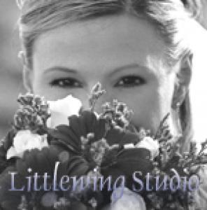 Littlewing Studio